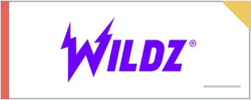 Wildz logo